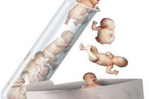 http://taizhou.dacou.net/post/194.html|台州新闻中心